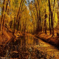 /album/fotogalerij-herfstlandschappen/a6006117-1-copy-jpg/